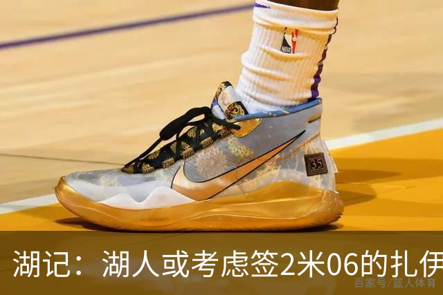 湖记：湖人或考虑签2米06的扎伊尔·威廉姆斯 他和布朗尼当过队友