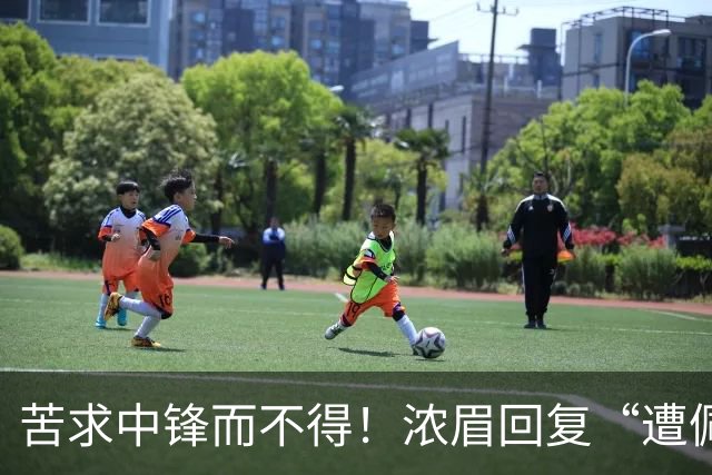 苦求中锋而不得！浓眉回复“遭佩林卡背刺”言论：😂😂😂